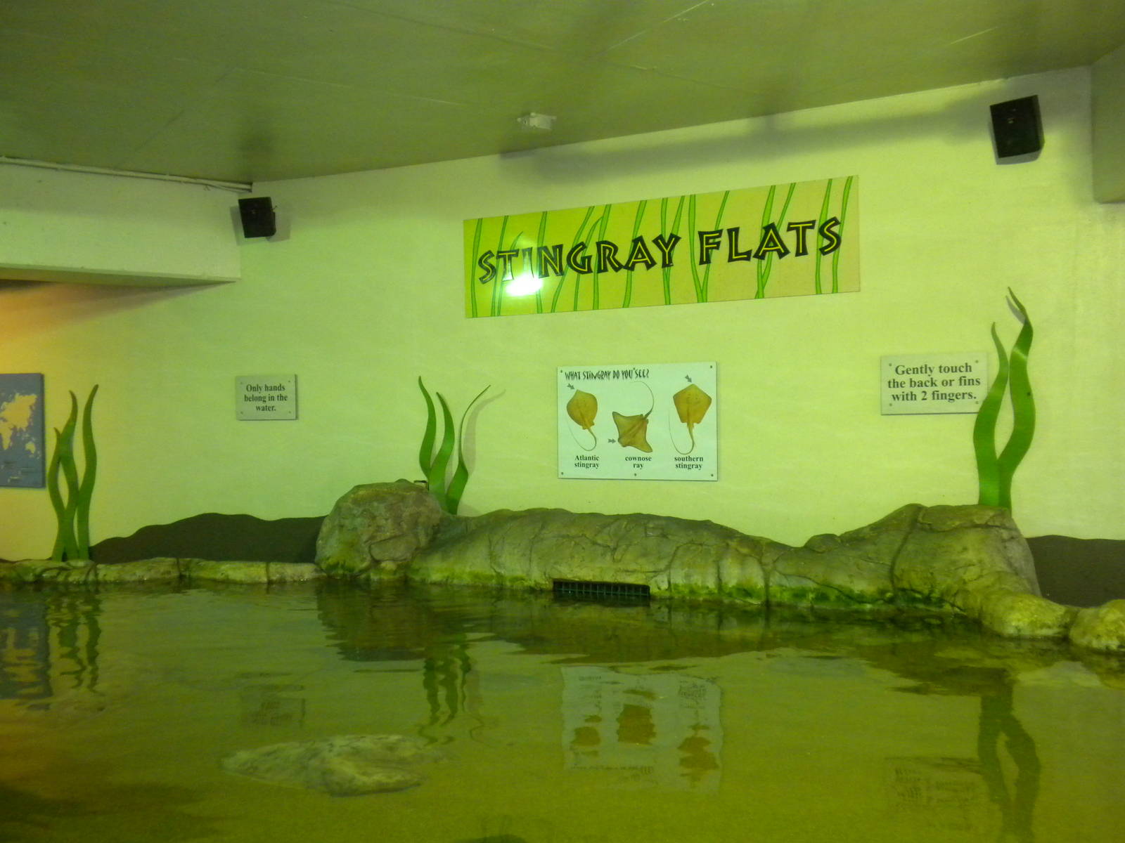 2010 - Stingray Flats