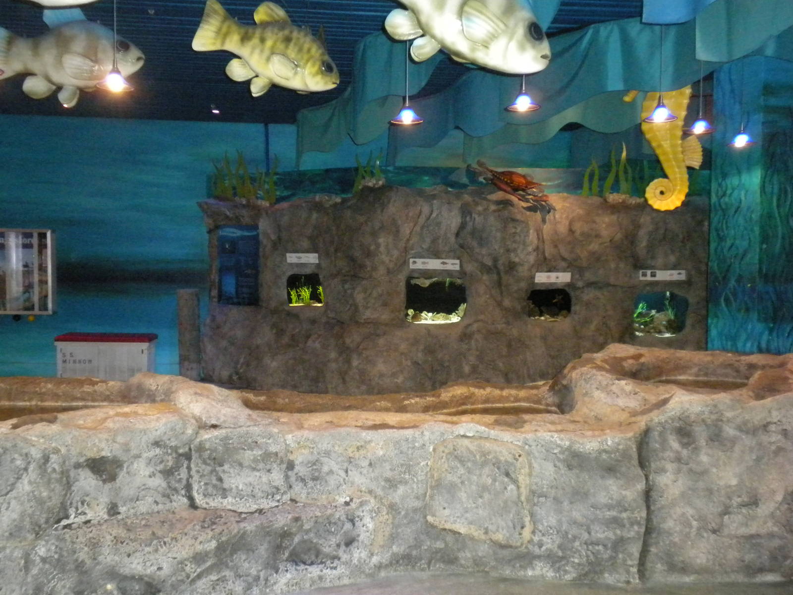 2010 - Touch tanks and smaller tanks