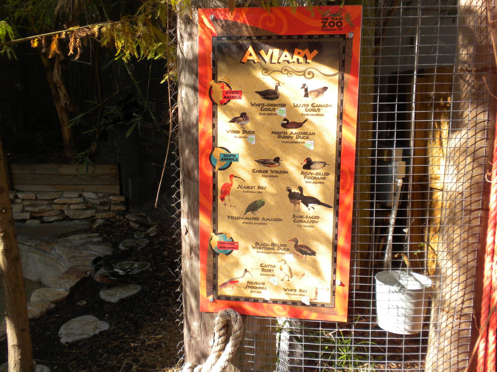 2010 - Walk-through aviary species list