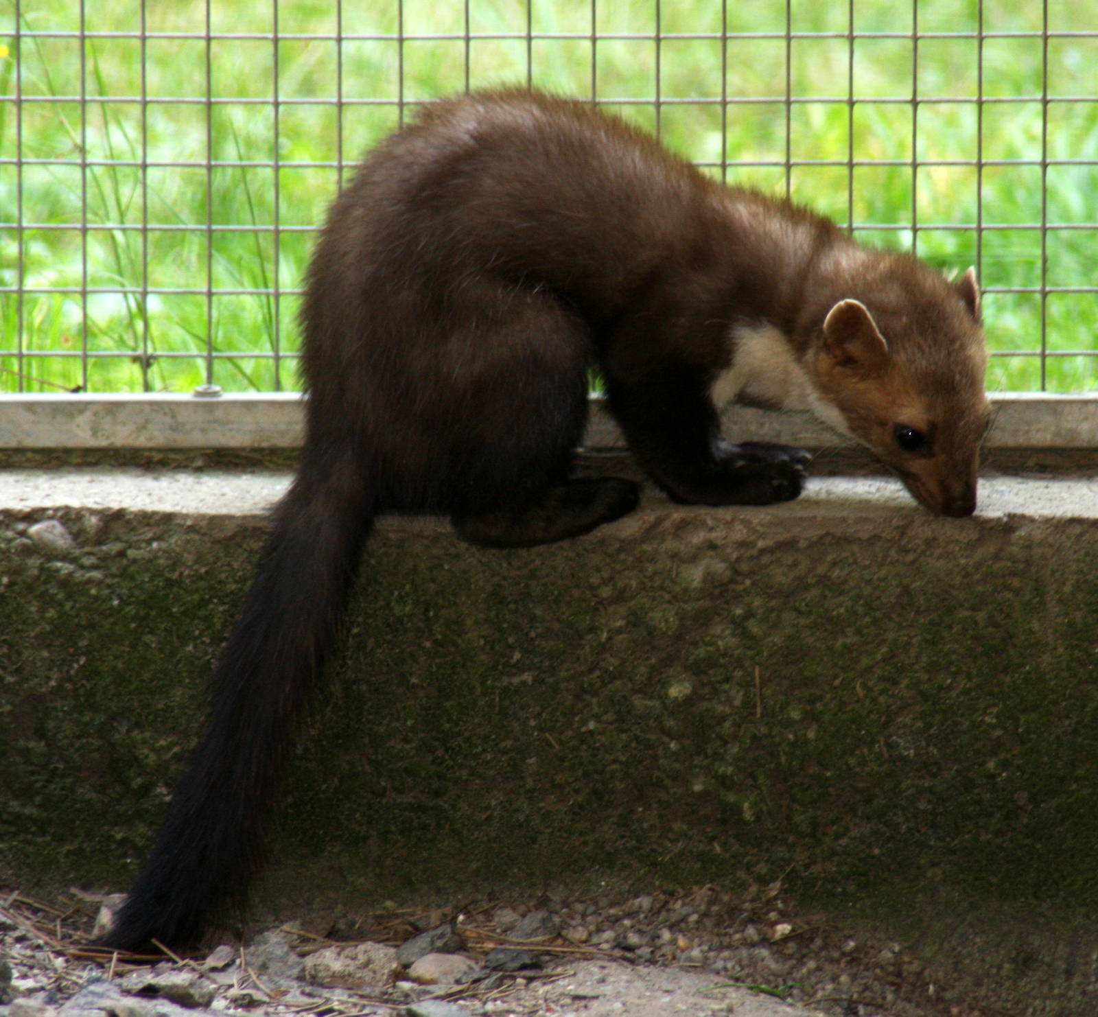 2010: Wildpark Leipzig
