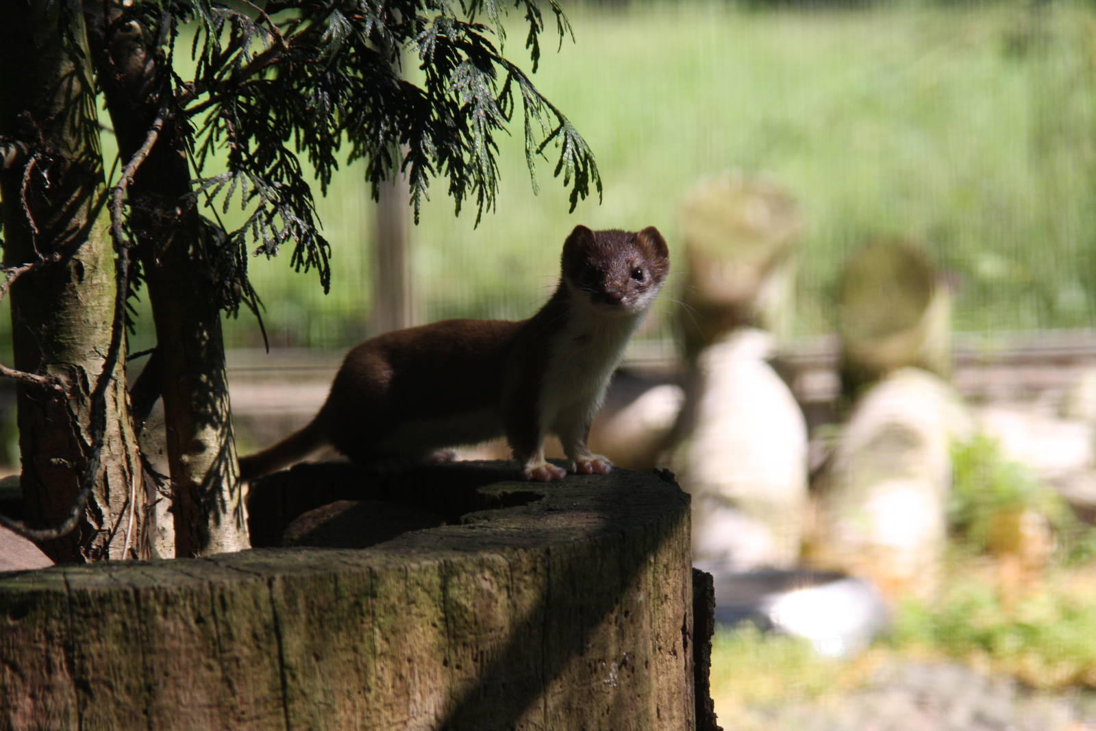 2010: Wildpark Leipzig