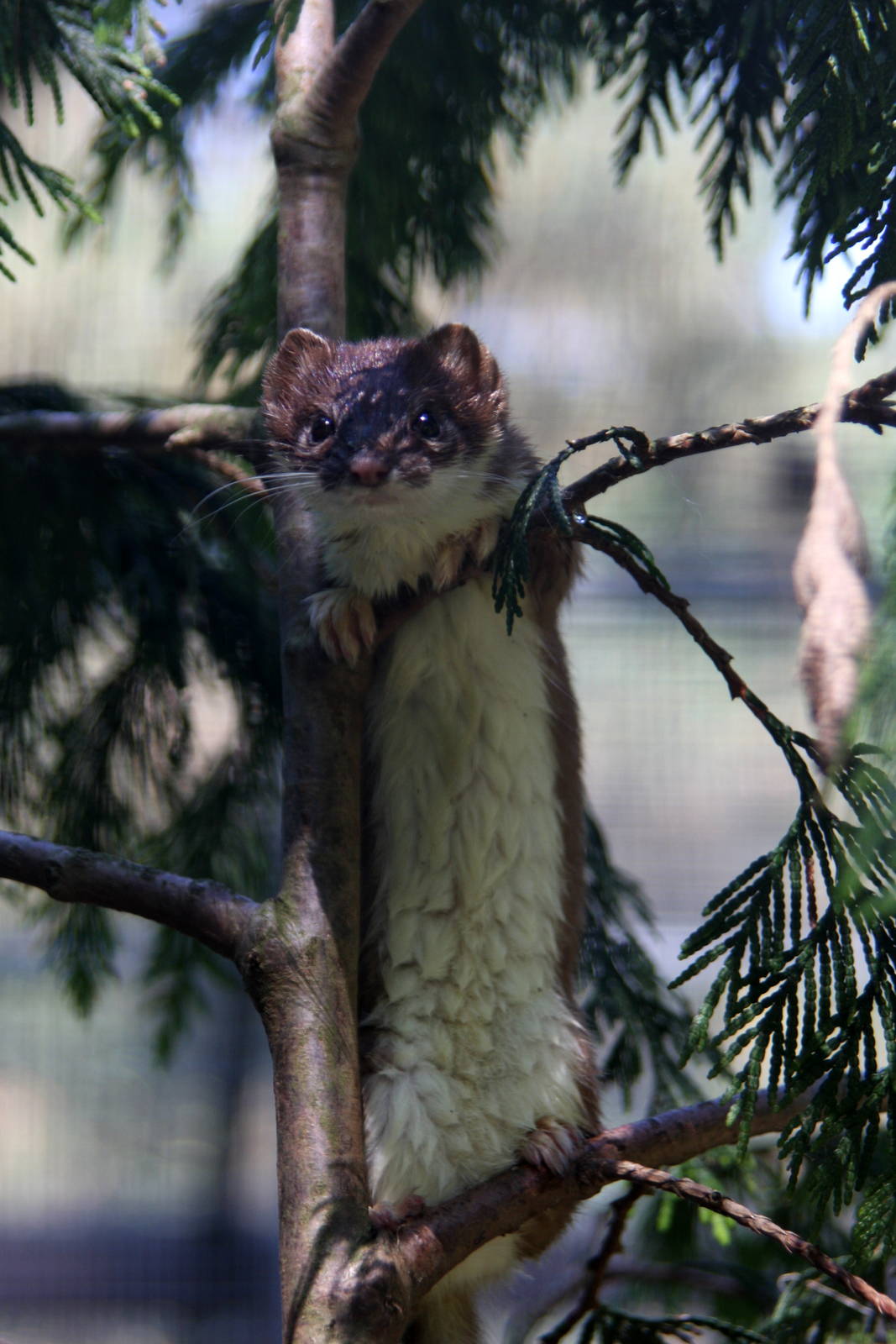 2010: Wildpark Leipzig