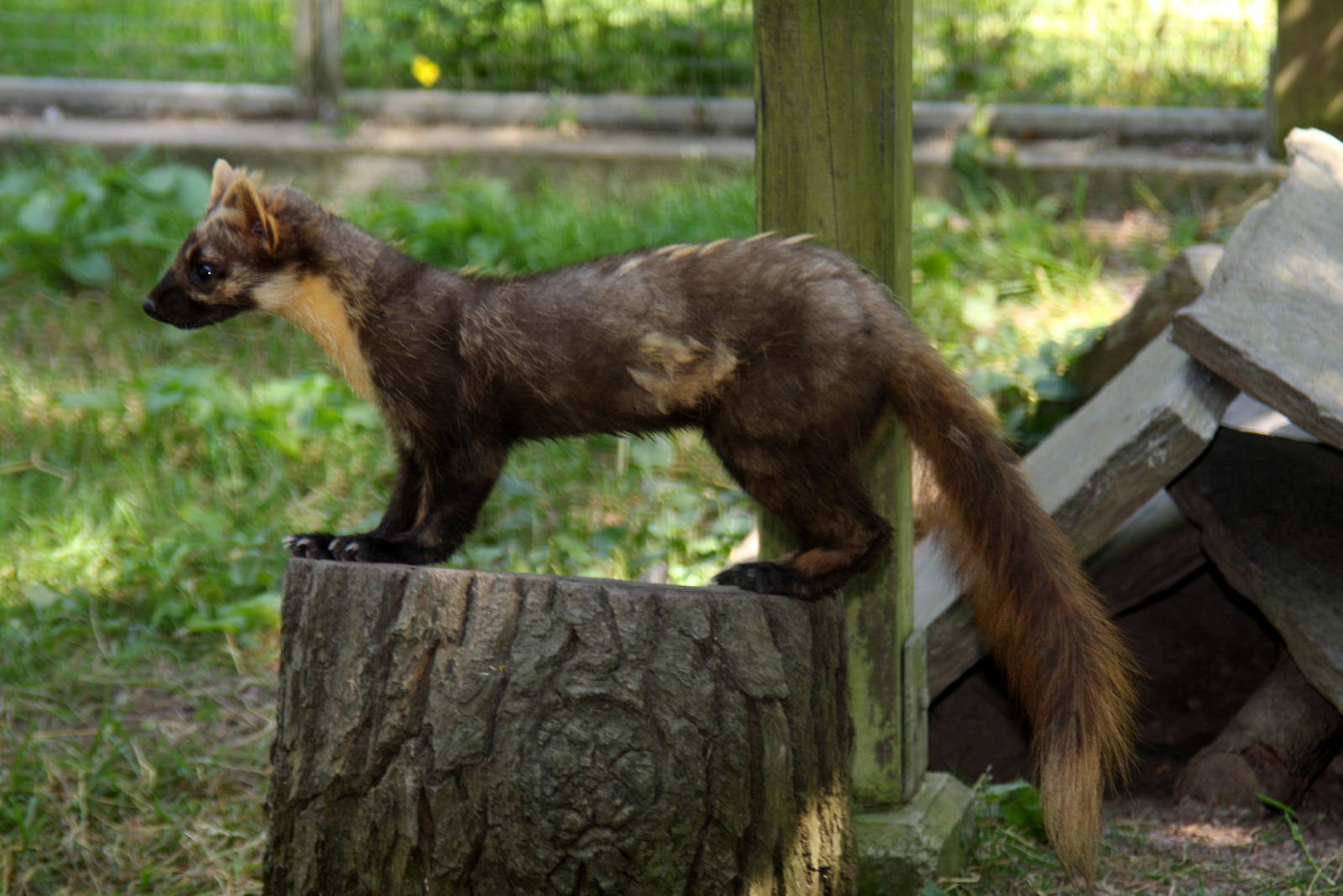 2010: Wildpark Leipzig