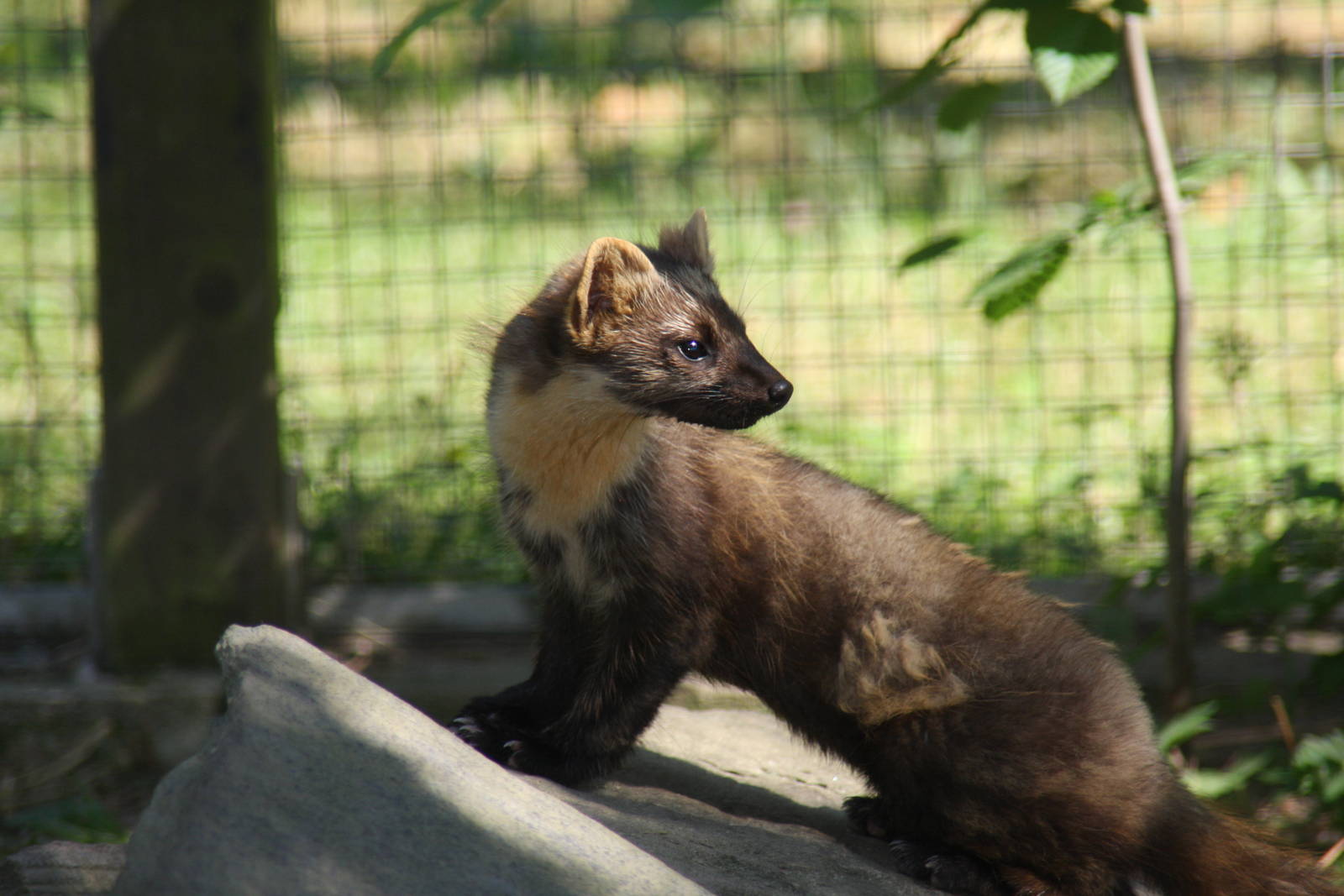 2010: Wildpark Leipzig
