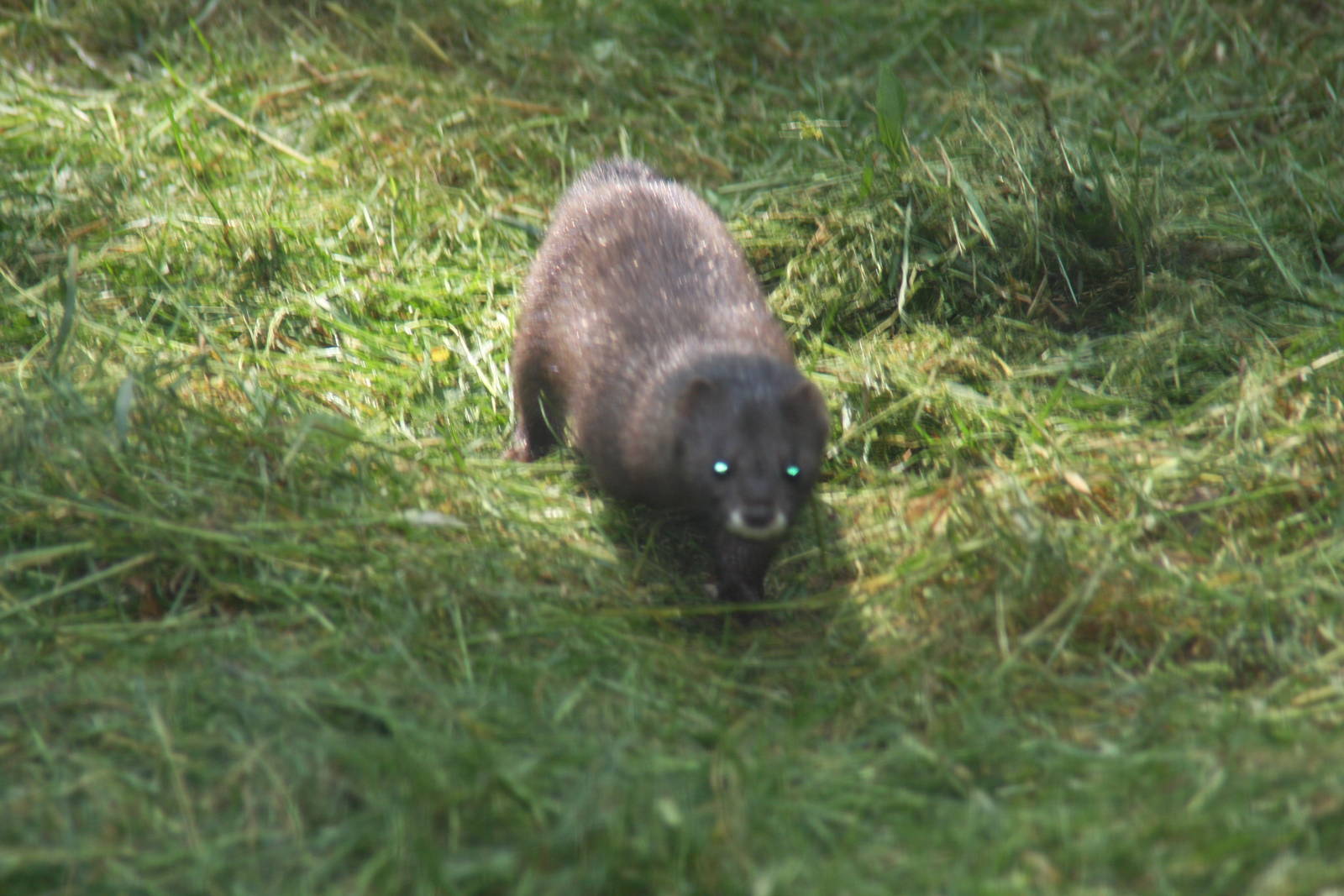 2010: Wildpark Leipzig