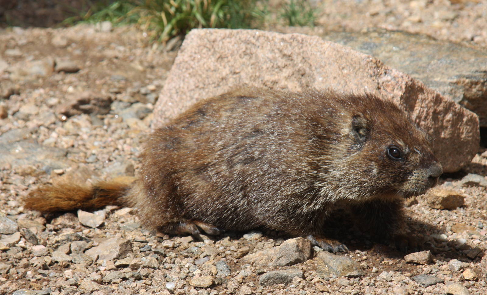 2011: Continental Divide- Berthoud Pass