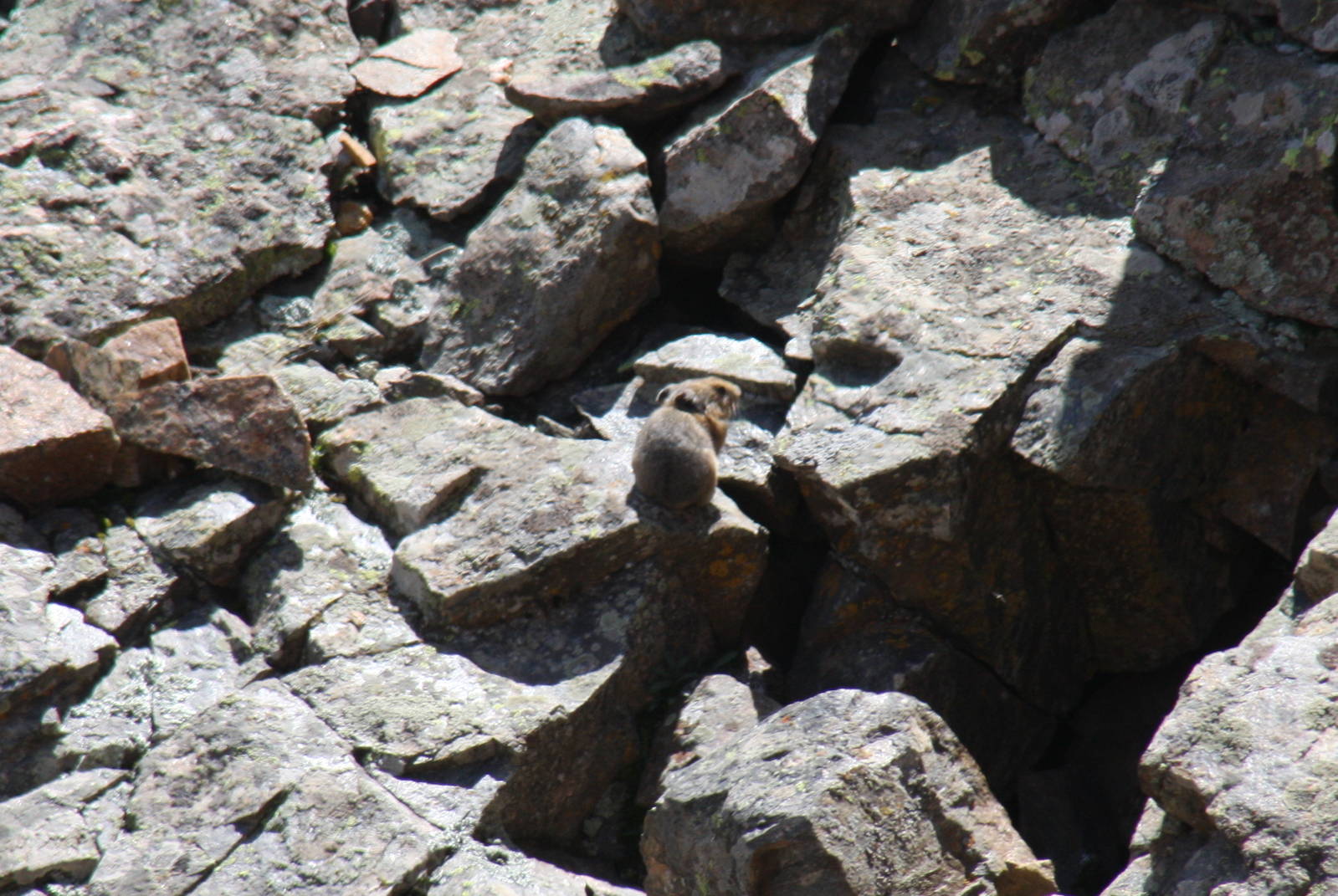 2011: Continental Divide- Berthoud Pass