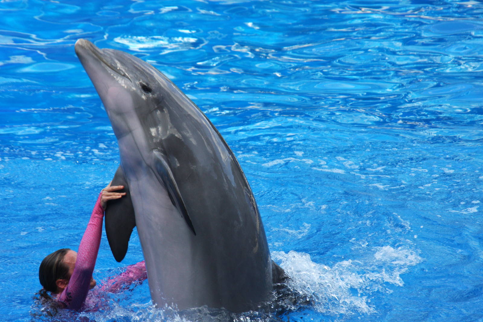 2012 SeaWorld Orlando