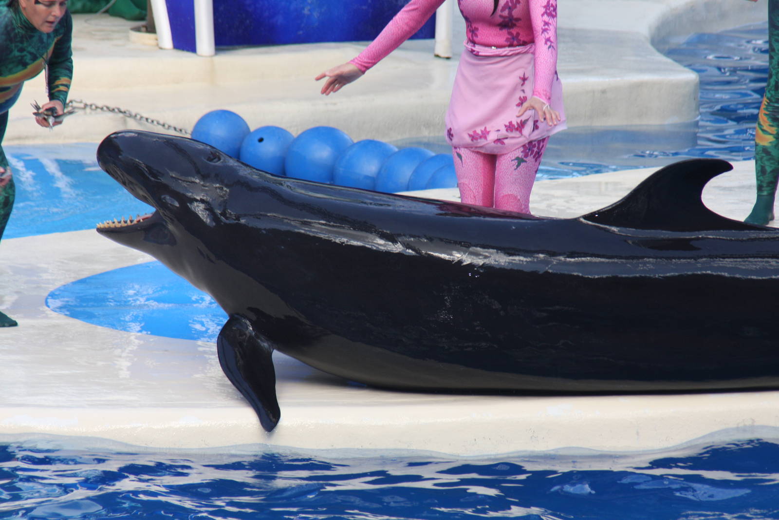 2012 SeaWorld Orlando