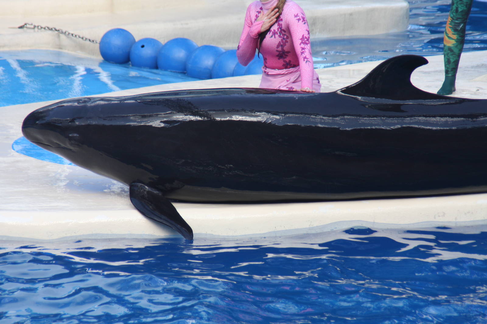 2012 SeaWorld Orlando