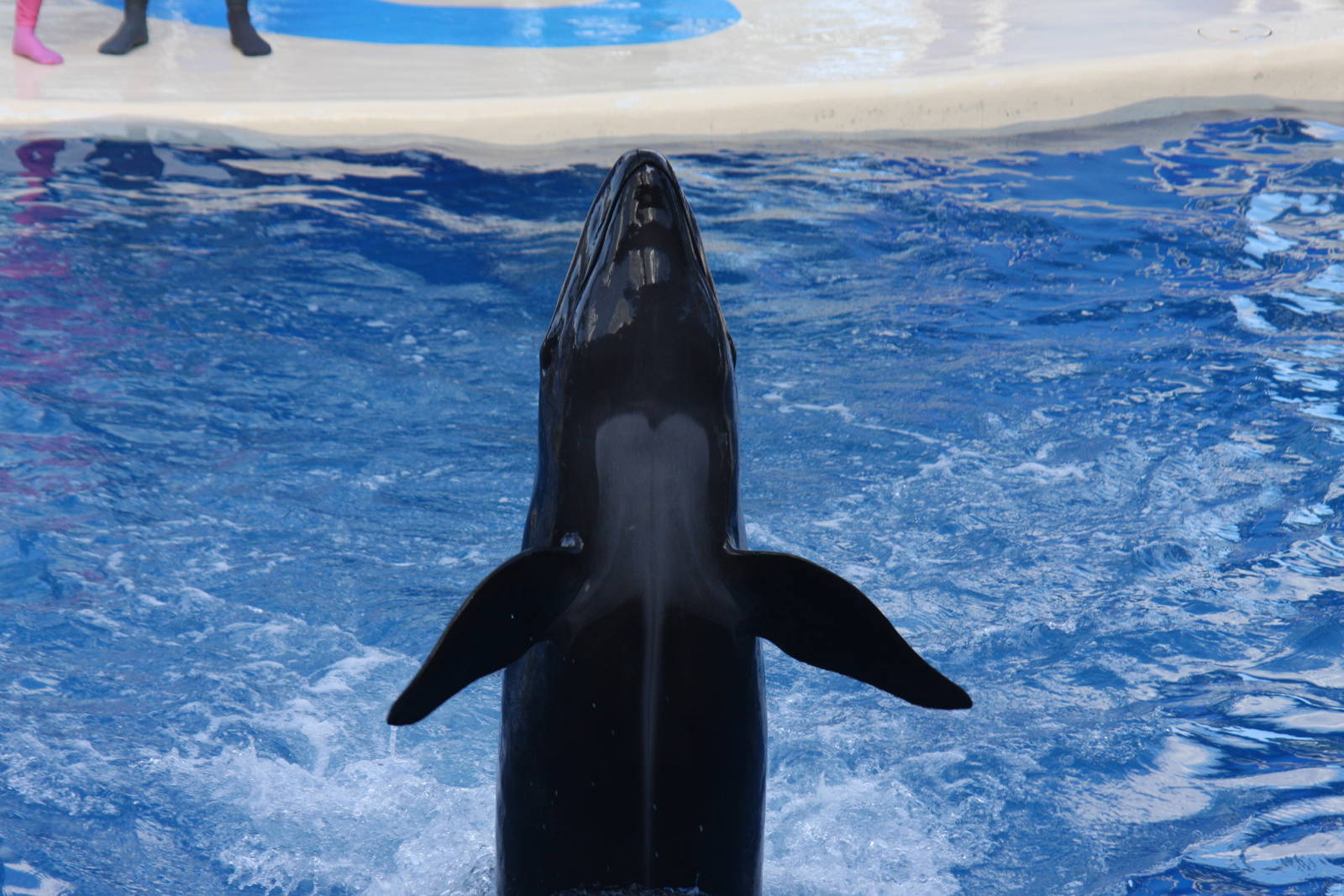 2012 SeaWorld Orlando