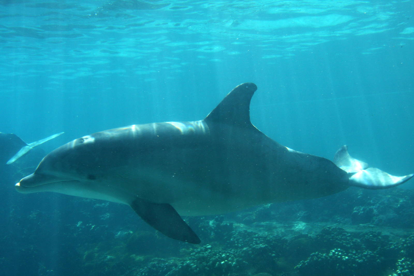 2012 SeaWorld Orlando