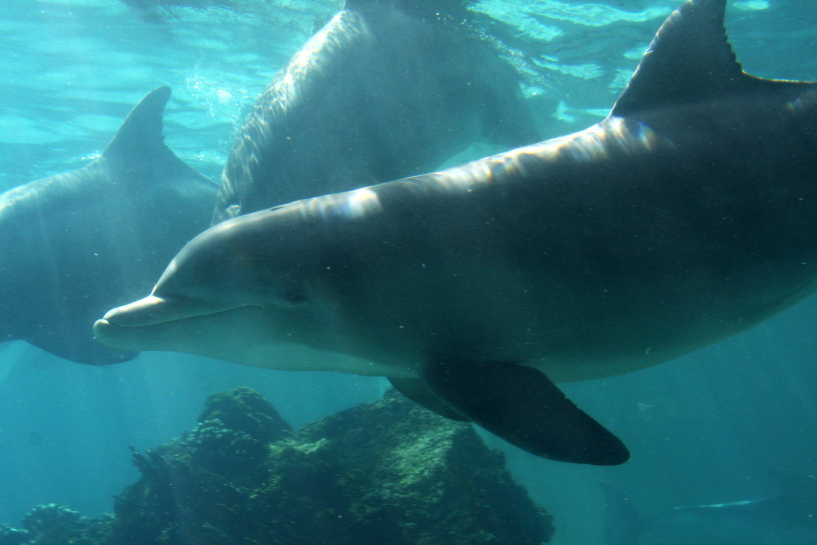 2012 SeaWorld Orlando