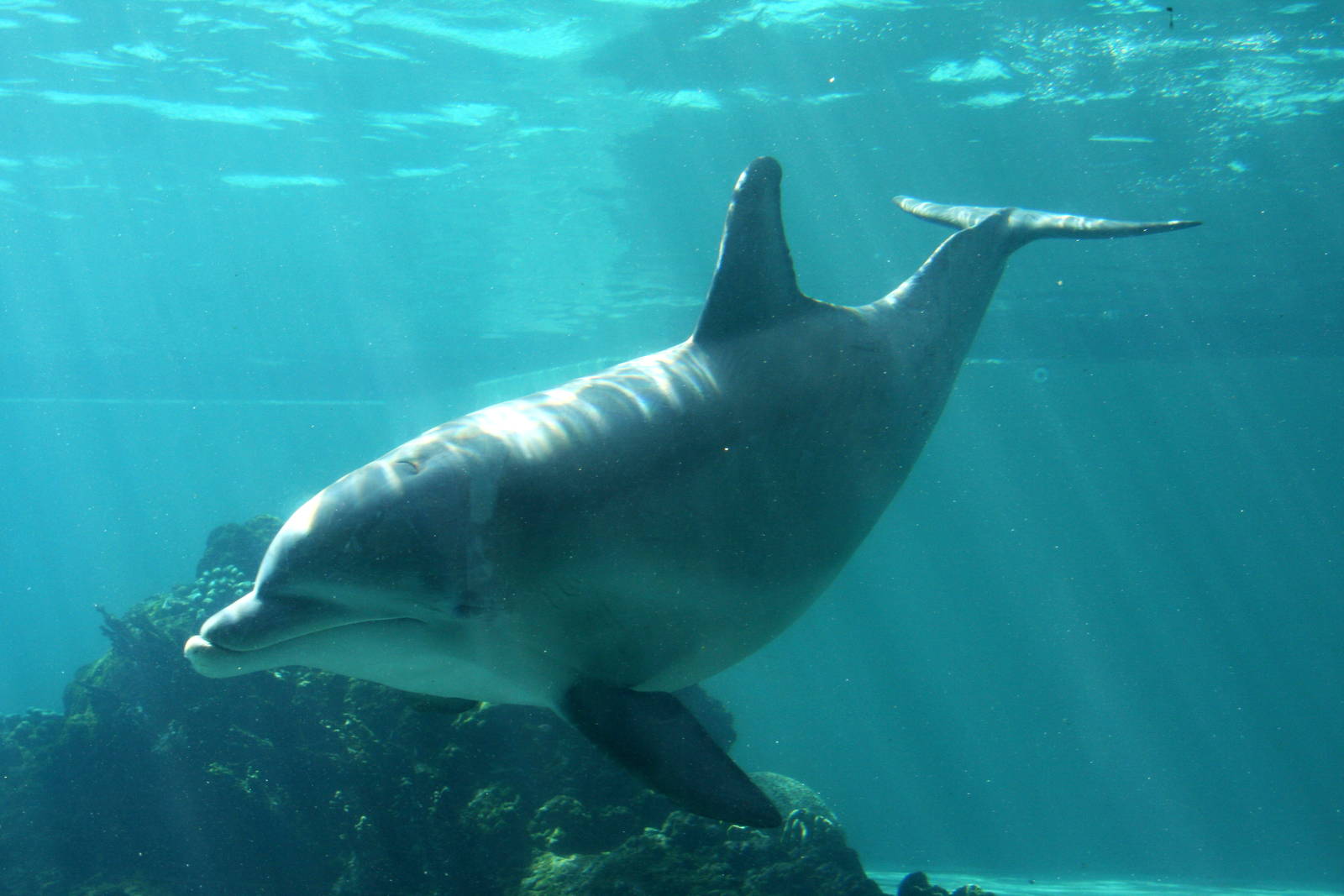 2012 SeaWorld Orlando