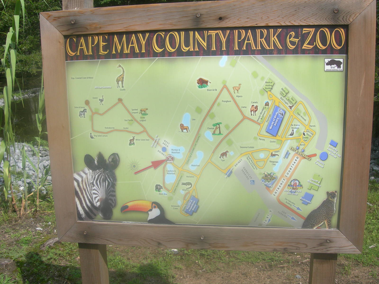 2012 Zoo Map