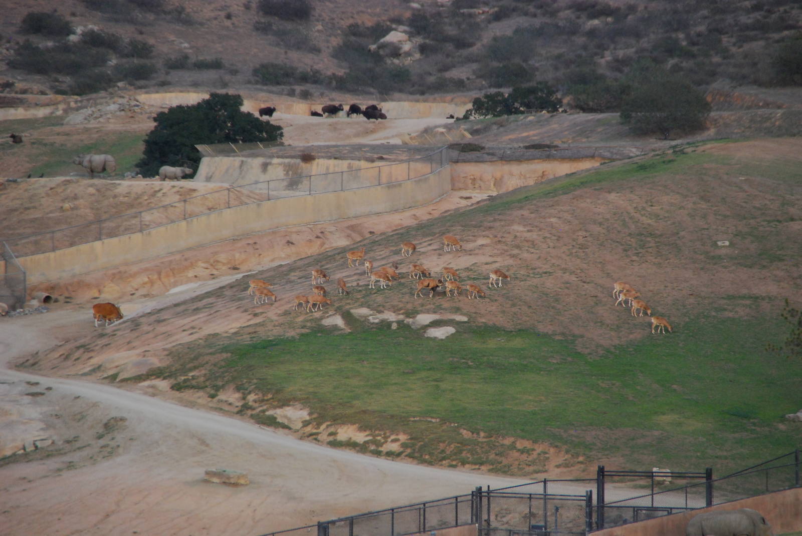 2013-12-19 SDZSP Central Asia