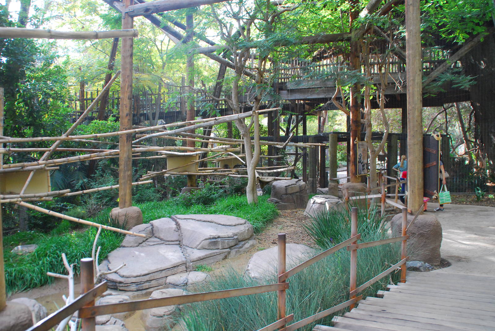 2013-12-19 SDZSP Lemur Walk