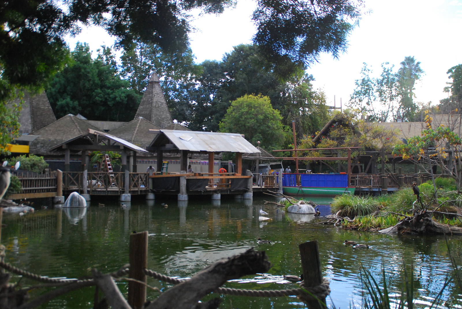 2013-12-19 SDZSP Mombasa Lagoon Construction