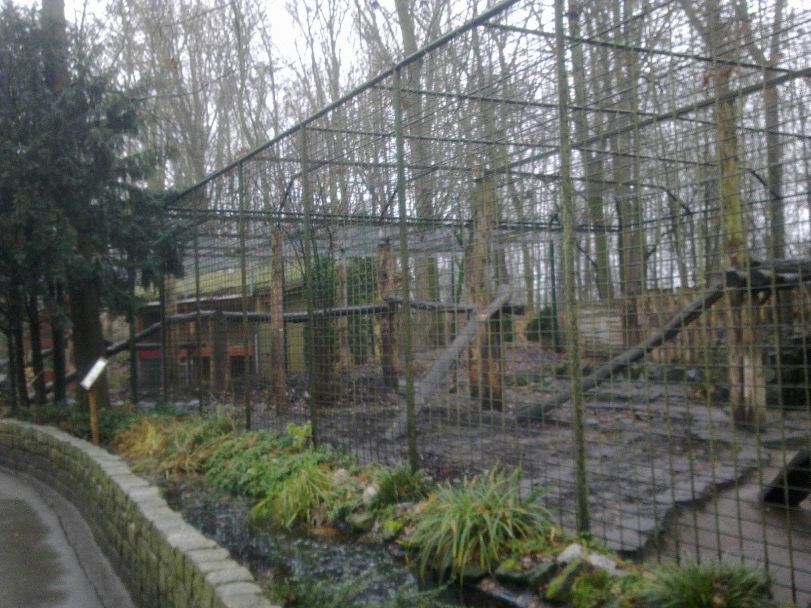2013-12 Hamm Amur Tiger exhibit