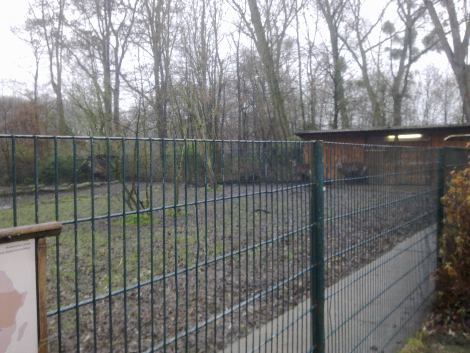 2013-12 Hamm Defassa waterbuck