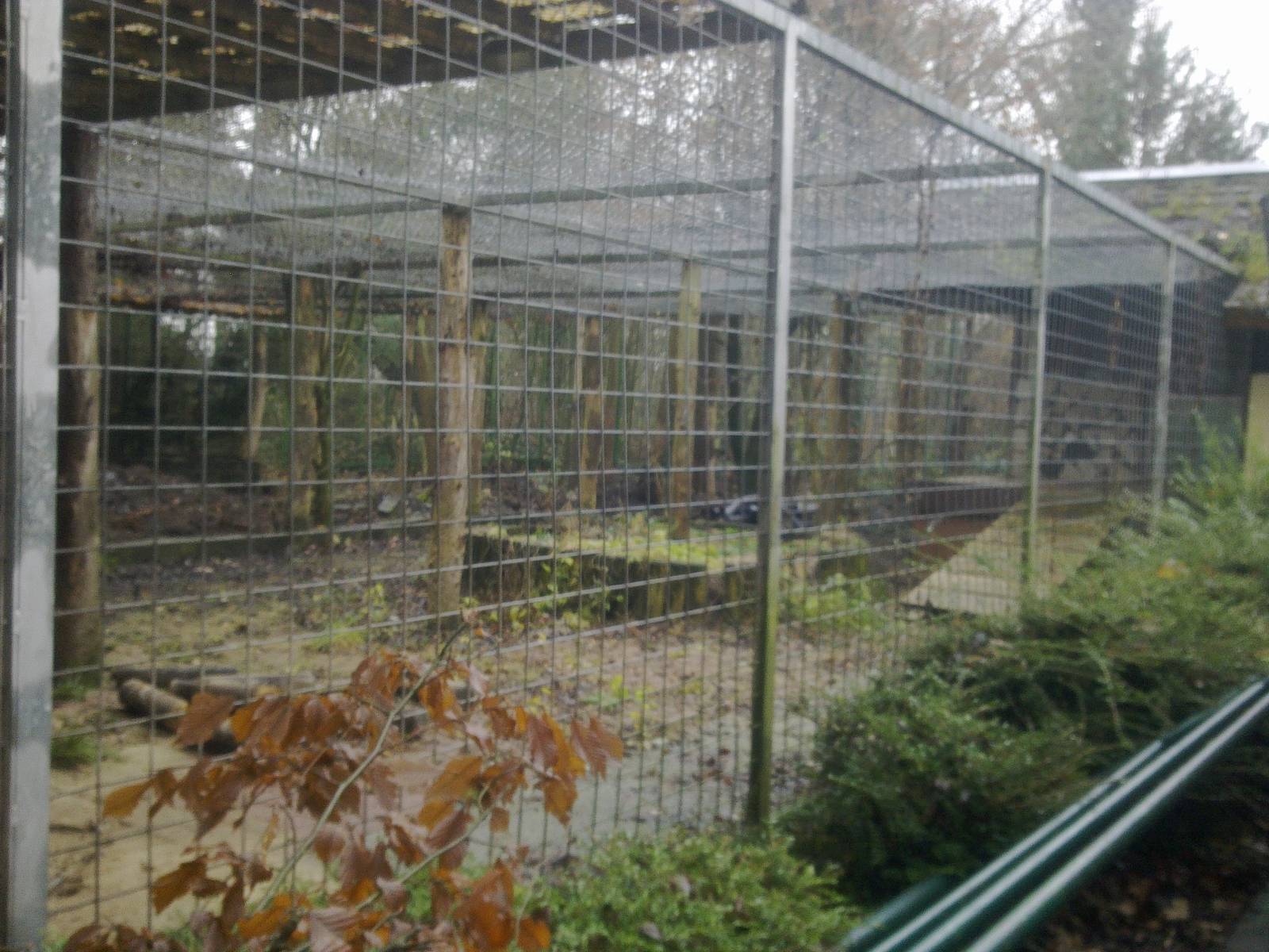 2013-12 Hamm demolished lion enclosure