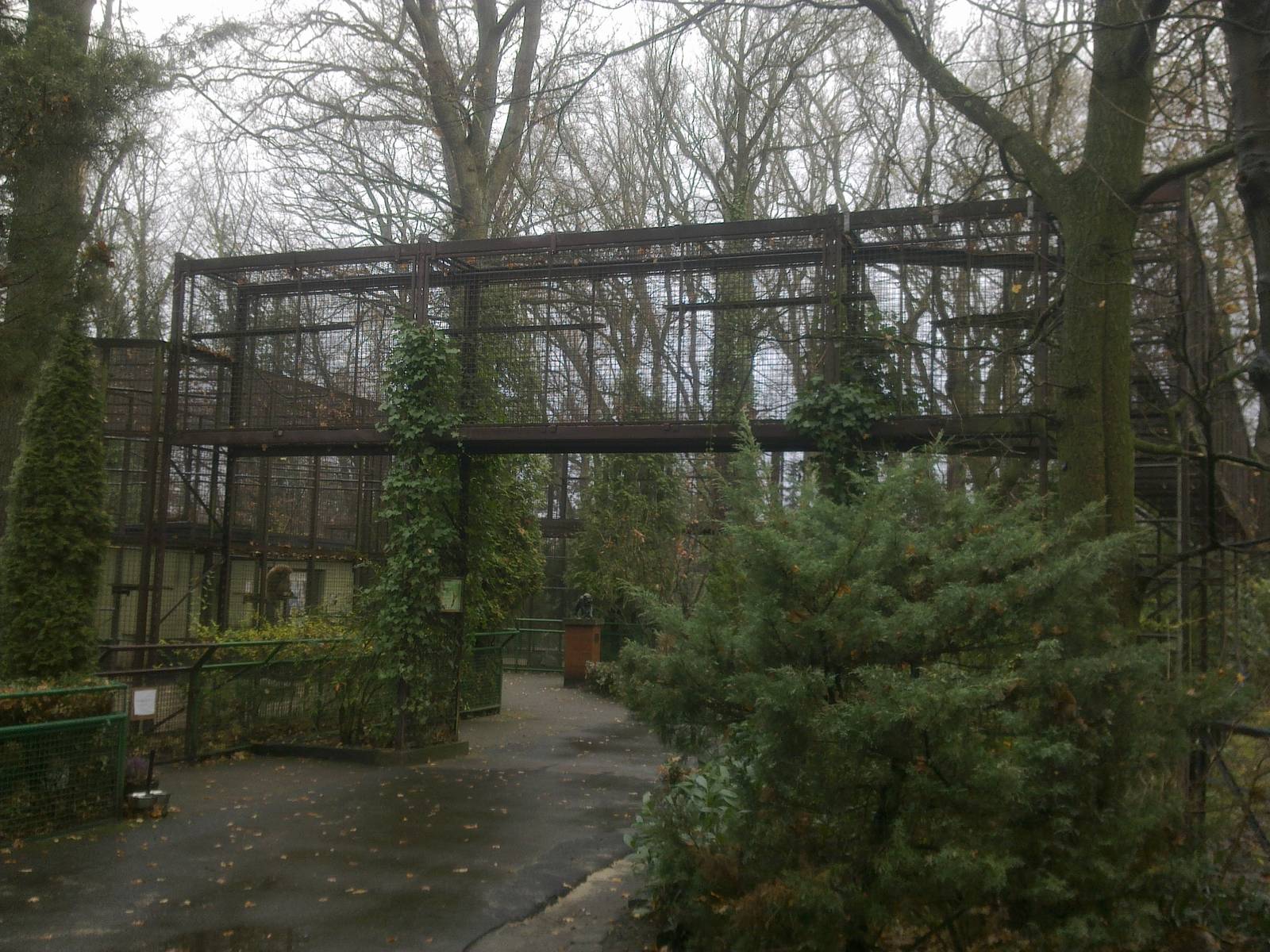 2013-12 Hamm lar-gibbon enclosure