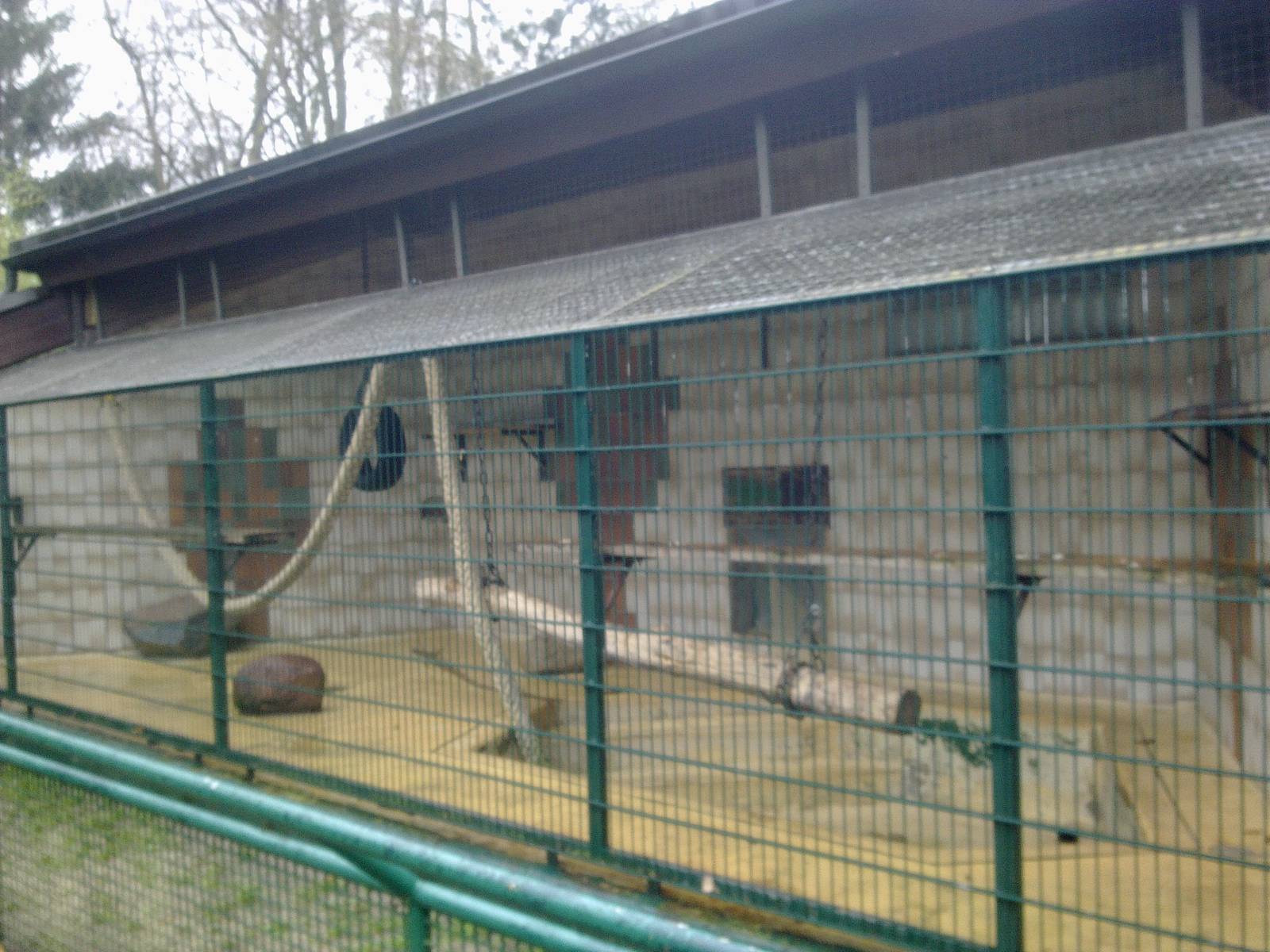 2013-12 Hamm monkey house