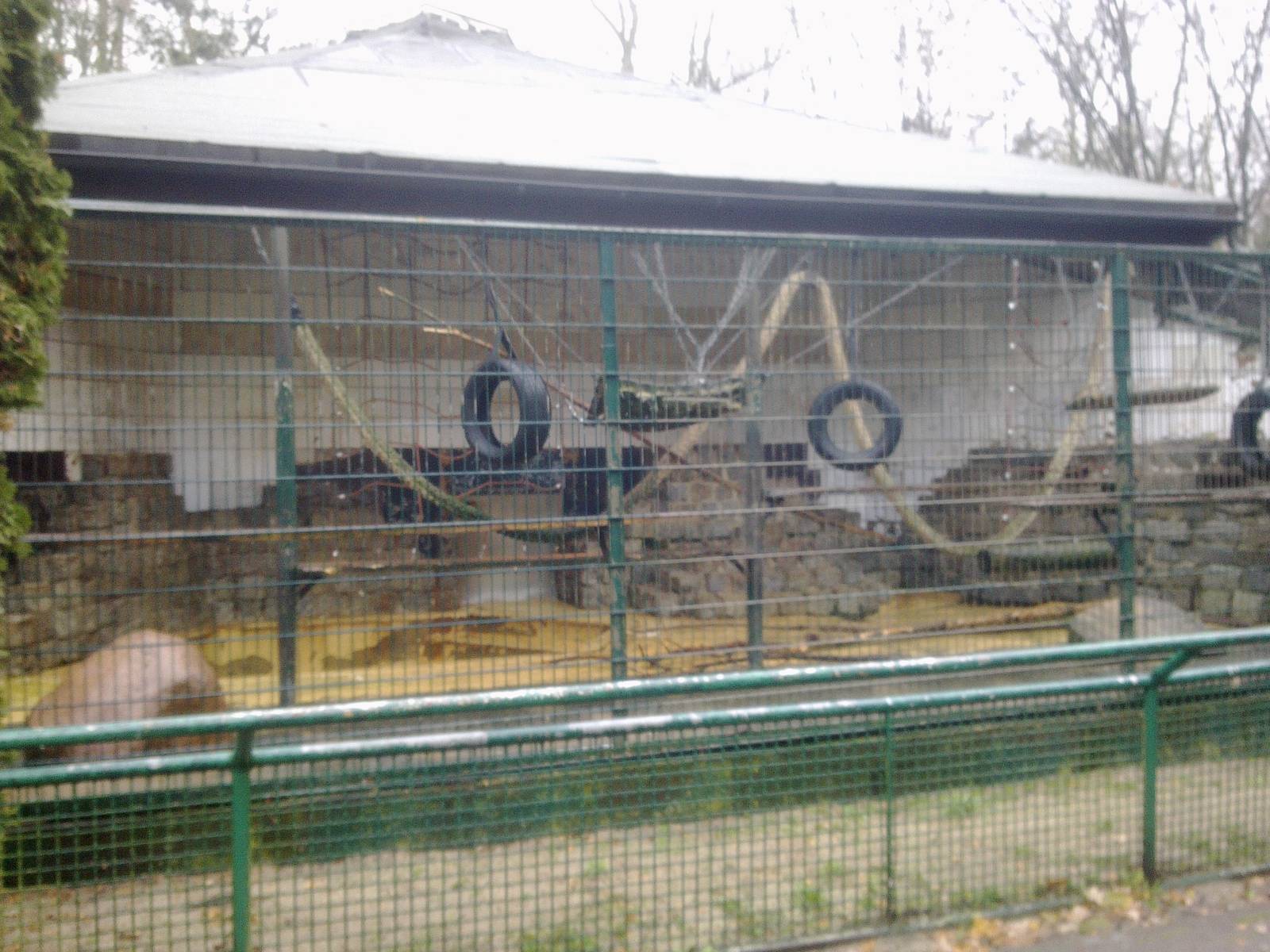 2013-12 Hamm monkey house