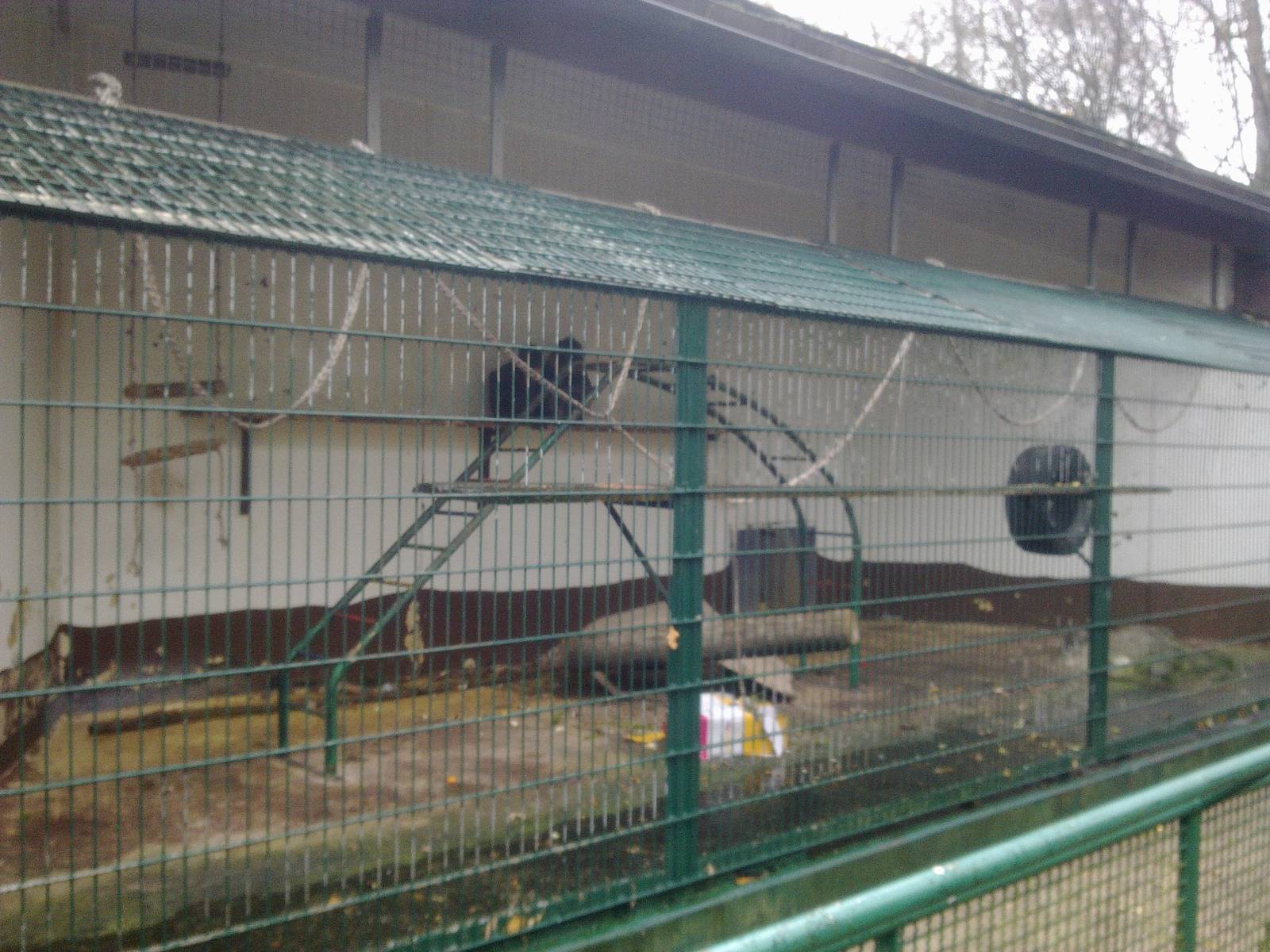 2013-12 Hamm monkey house