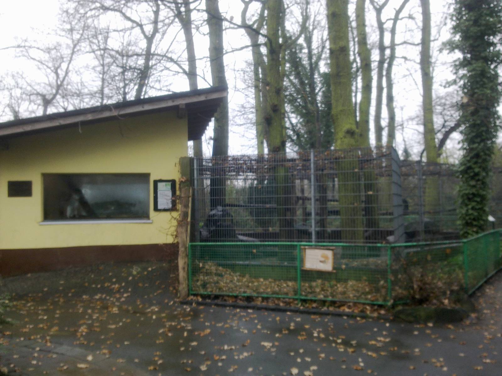 2013-12 Hamm Pattas monkey enclosure