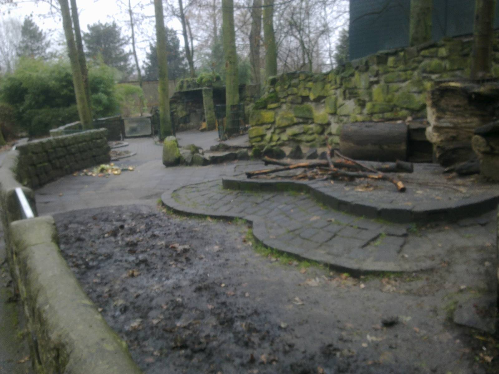 2013-12 Hamm porcupine exhibit