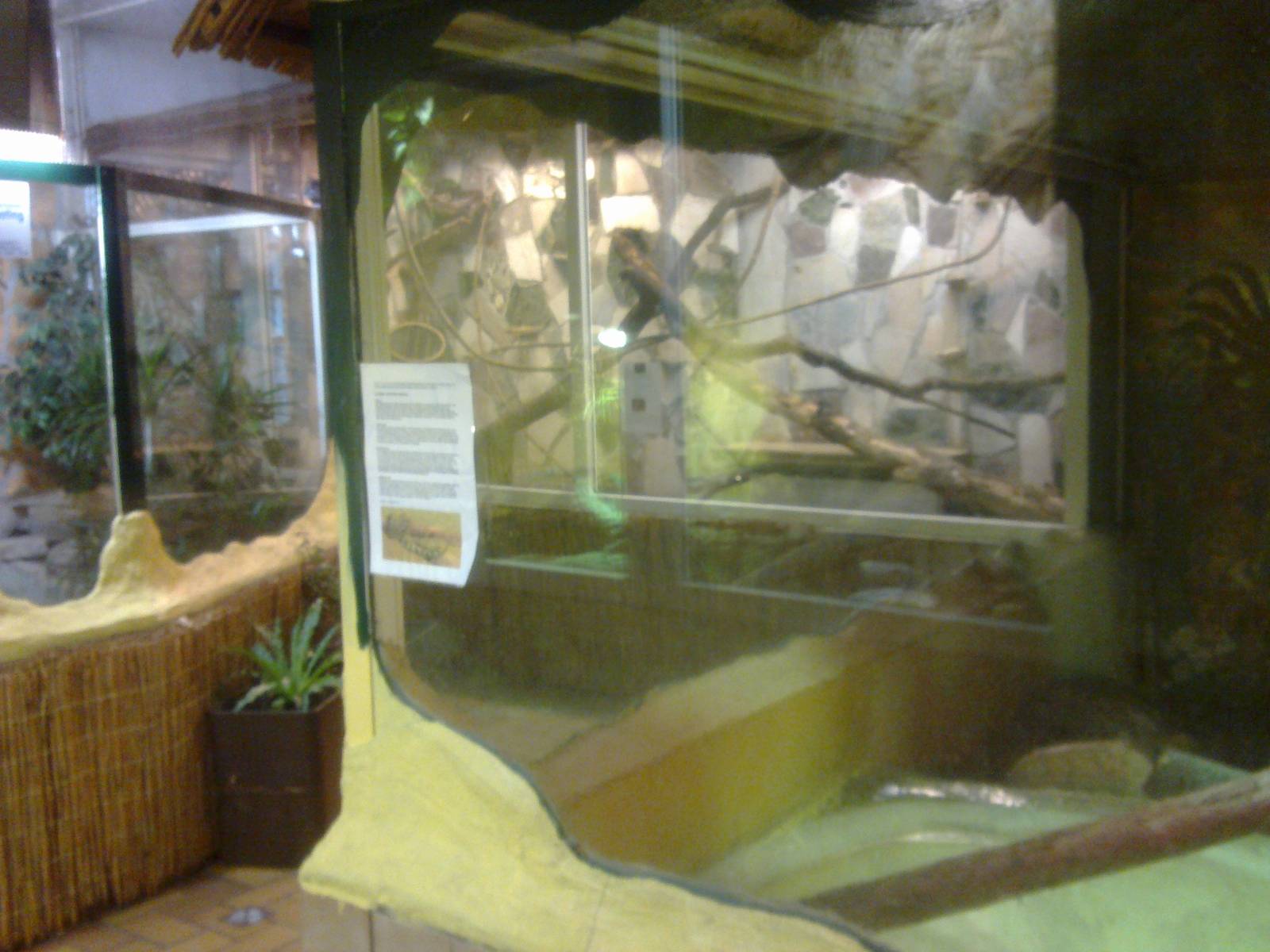 2013-12 Hamm Reptile House