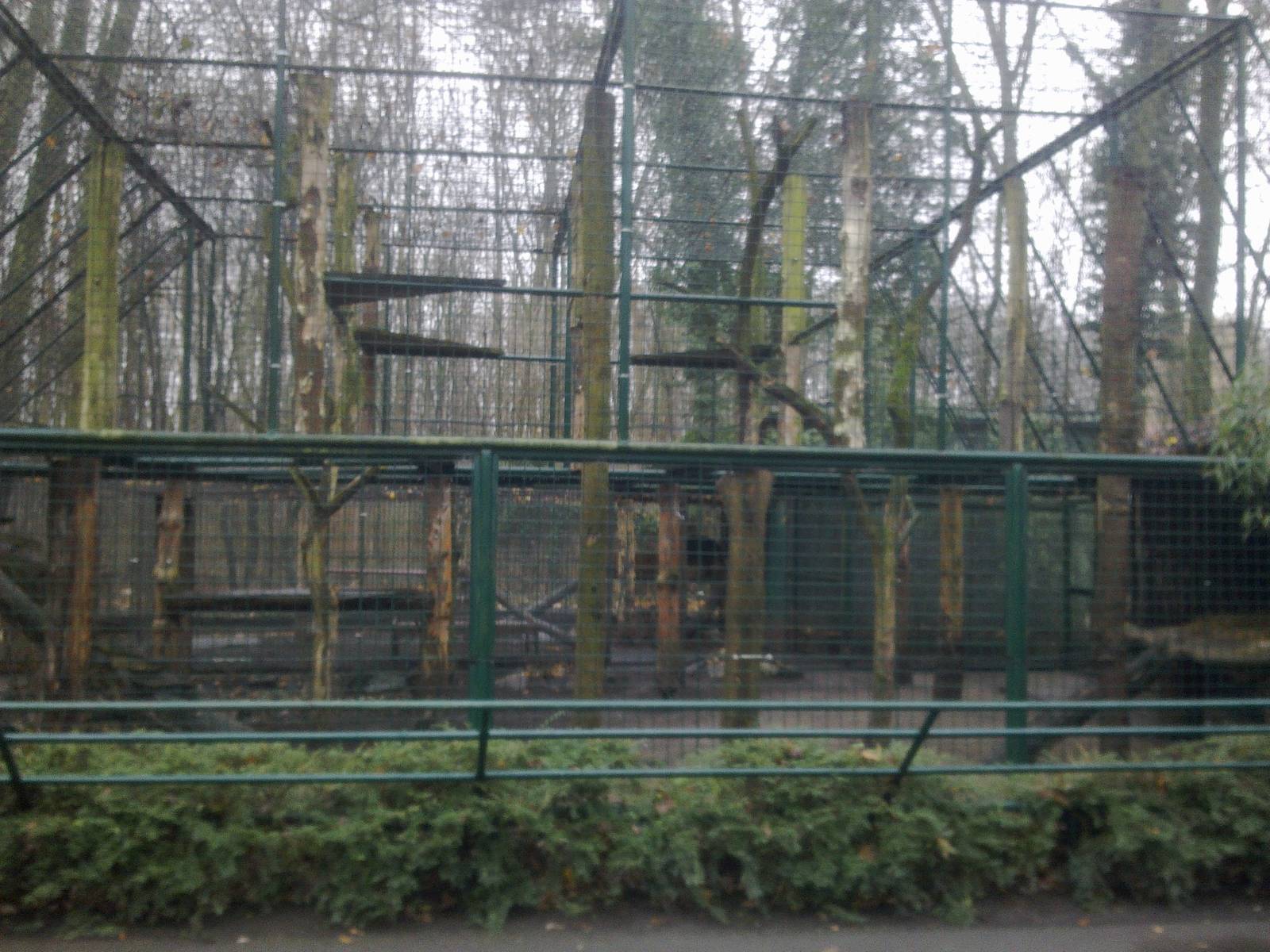 2013-12 Hamm Sri Lanka Leopard cage