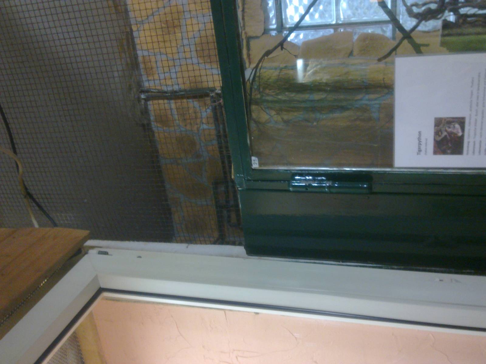 2013-12 Hamm Tiger python enclosure: detail