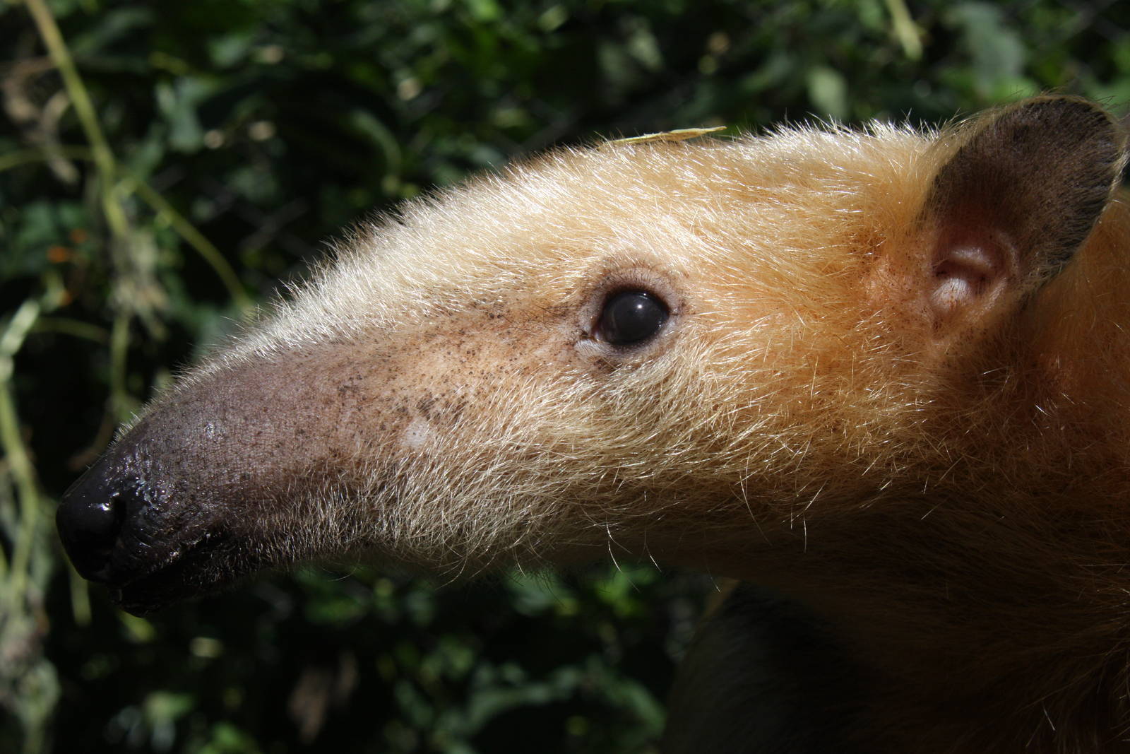 2013 Bioparque M'Bopicua