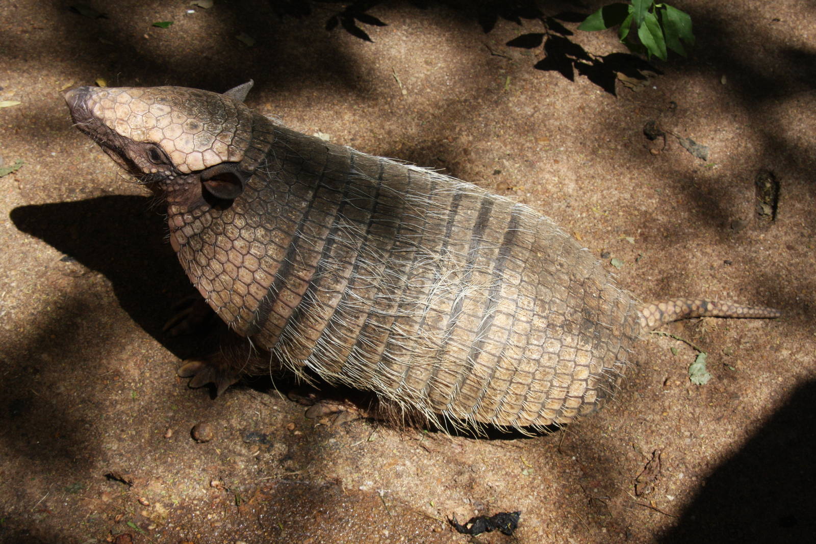 2013 Bioparque M'Bopicua