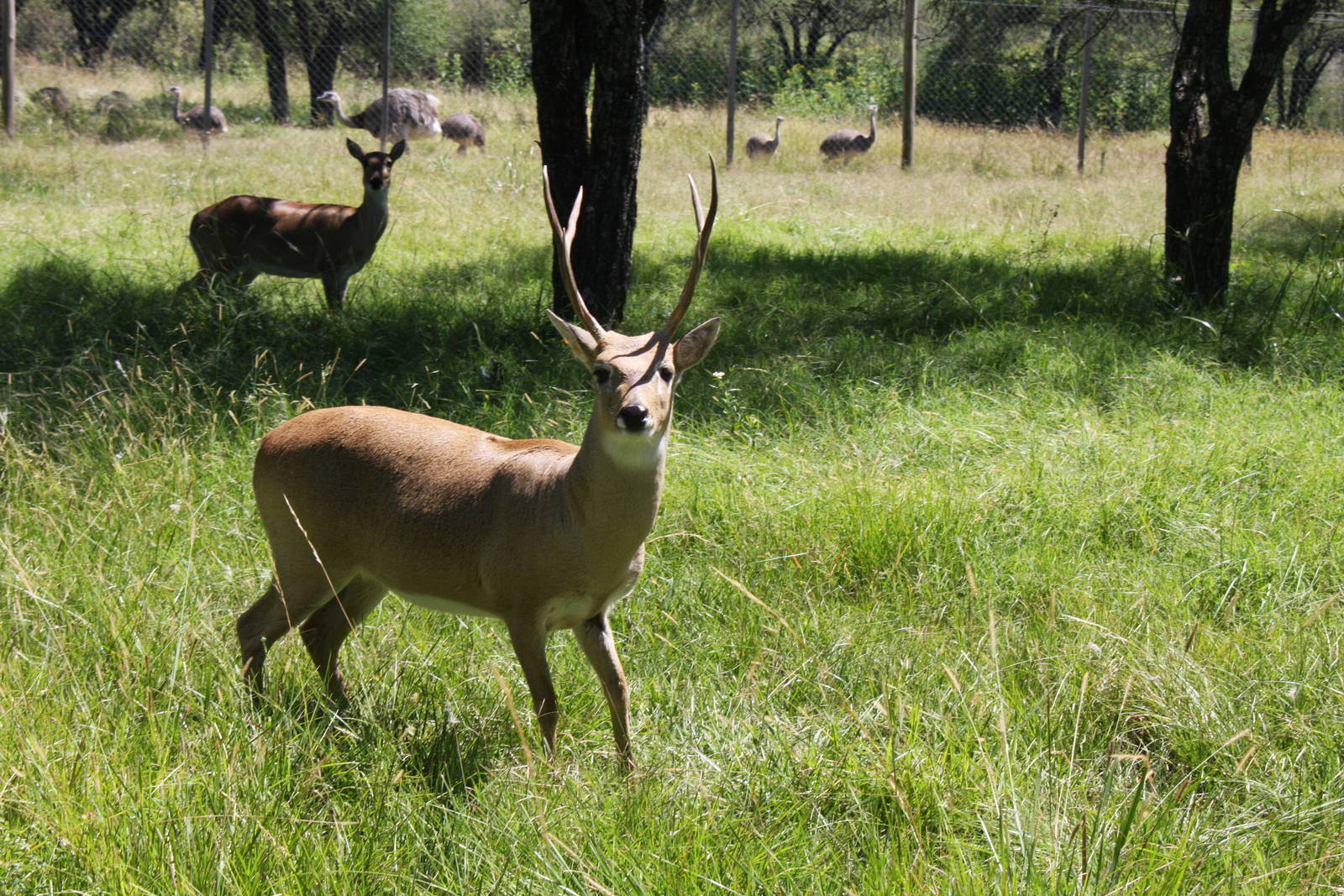 2013 Bioparque M'Bopicua