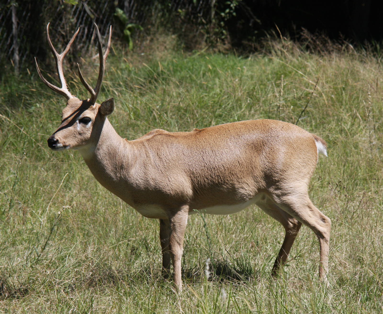 2013 Bioparque M'Bopicua