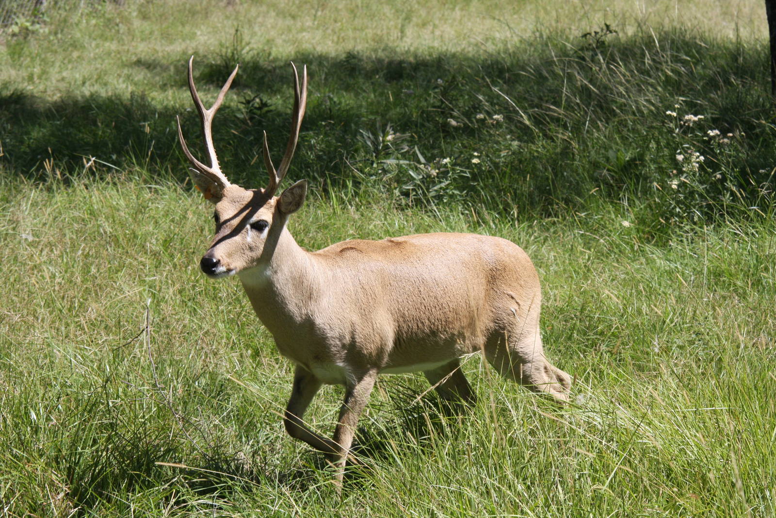 2013 Bioparque M'Bopicua