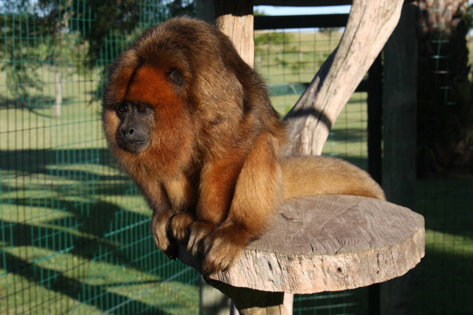 2013 Bioparque M'Bopicua