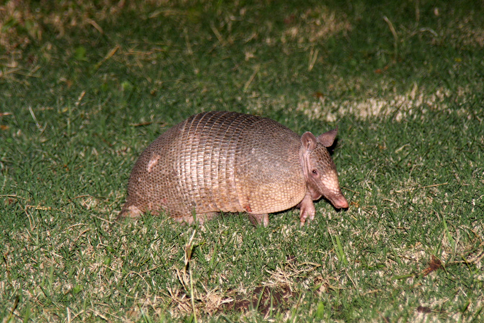2013 Bioparque M'Bopicua