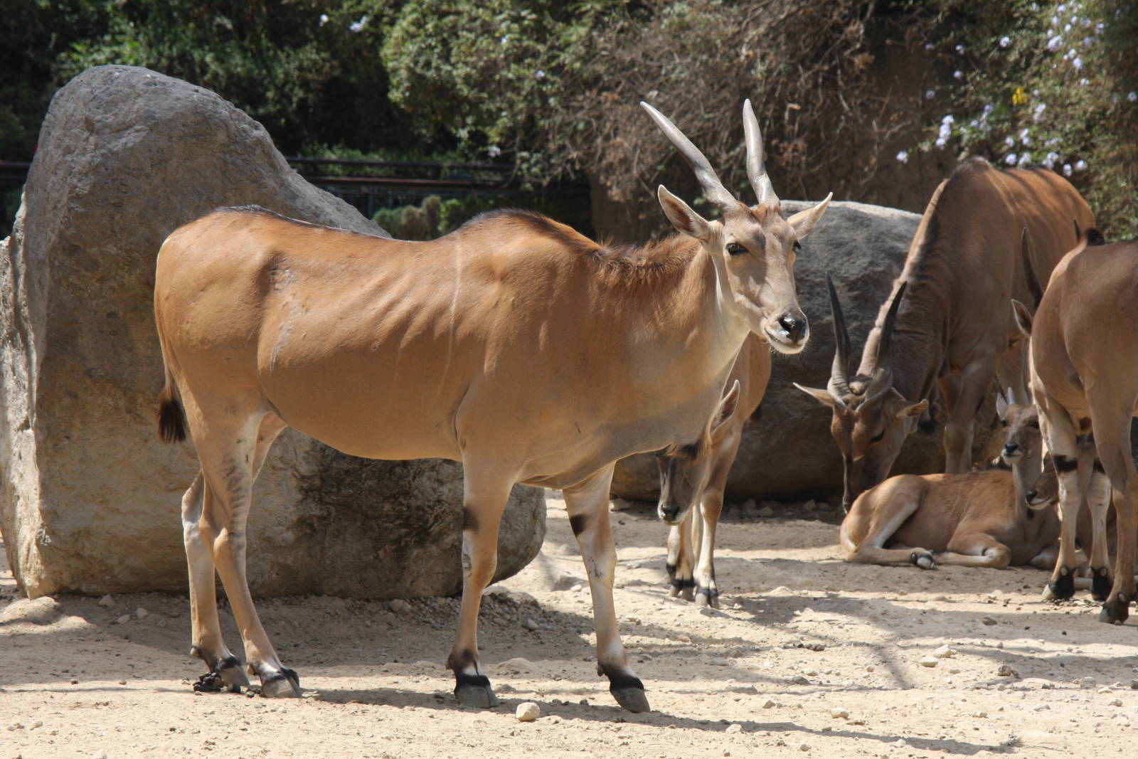 2013 Chapultepec Zoo
