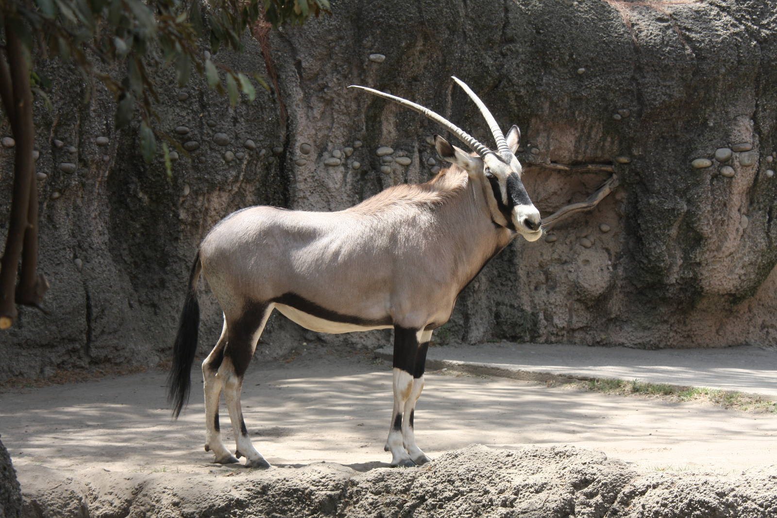 2013 Chapultepec Zoo