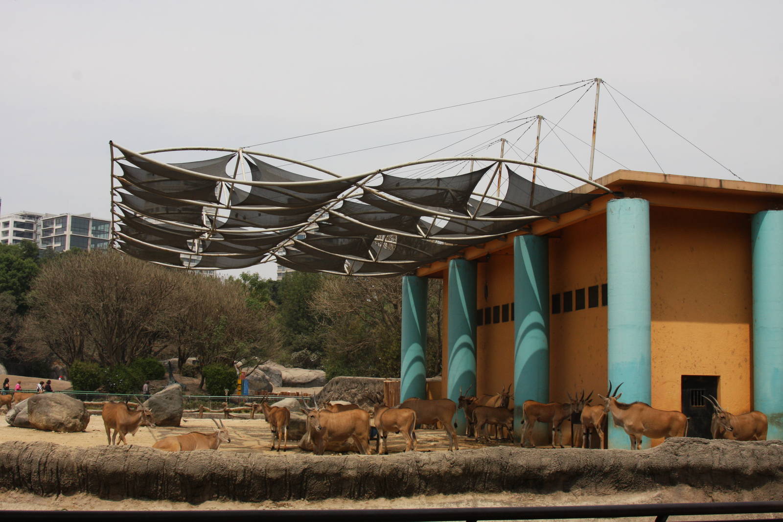 2013 Chapultepec Zoo