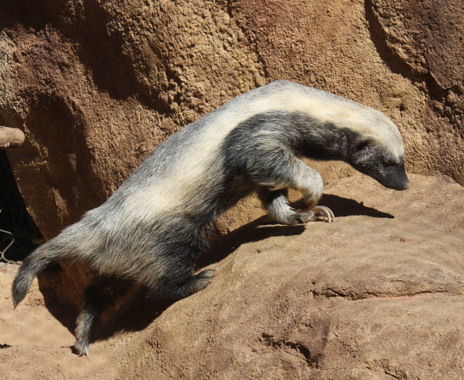 2013: Fort Wayne Children's Zoo