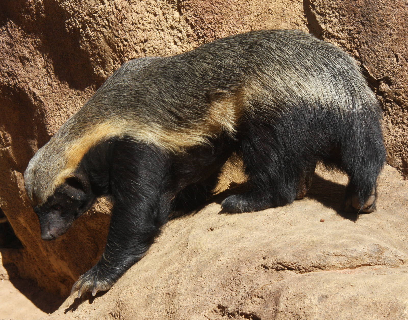 2013: Fort Wayne Children's Zoo