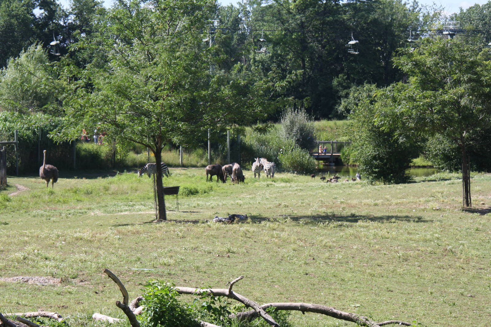 2013: Fort Wayne Children's Zoo