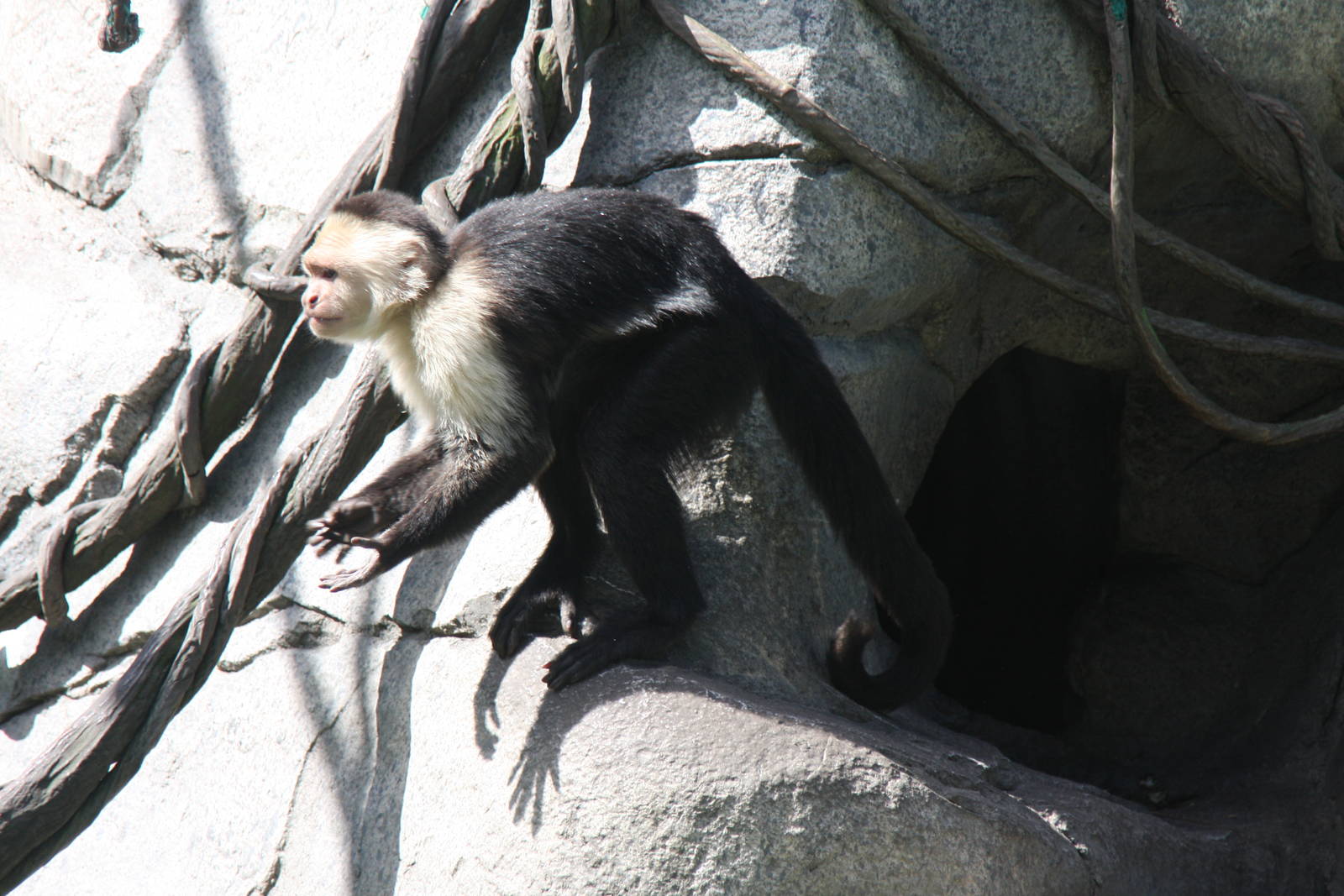 2013: Fort Wayne Children's Zoo
