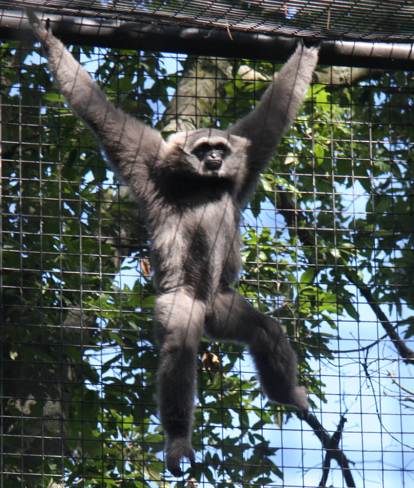 2013: Fort Wayne Children's Zoo