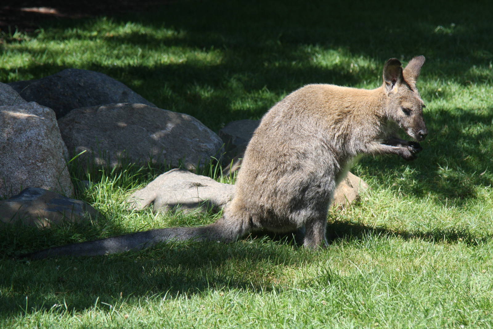 2013: Fort Wayne Children's Zoo